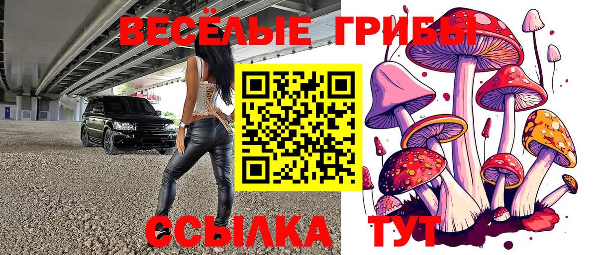 Псилоцибиновые грибы Magic Shrooms Рассказово