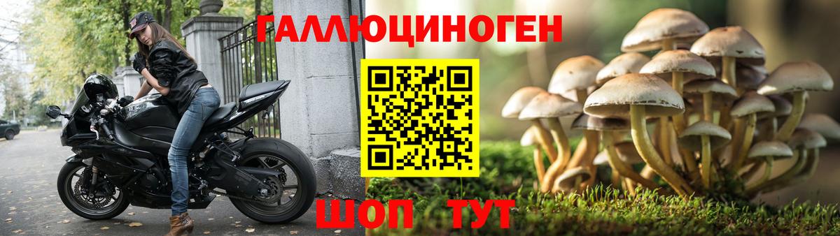 Галлюциногенные грибы Magic Shrooms  купить наркотики цена  Рассказово  Галлюциногенные грибы ЛСД  Вход с VPN 